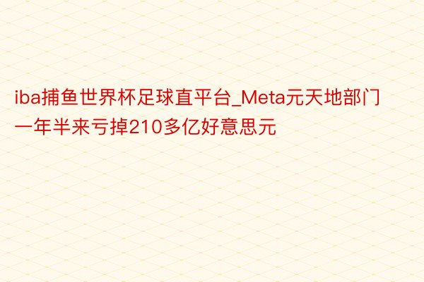 iba捕鱼世界杯足球直平台_Meta元天地部门一年半来亏掉210多亿好意思元