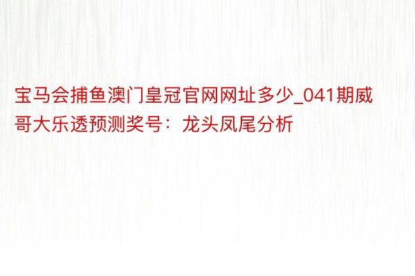 宝马会捕鱼澳门皇冠官网网址多少_041期威哥大乐透预测奖号：龙头凤尾分析