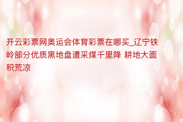 开云彩票网奥运会体育彩票在哪买_辽宁铁岭部分优质黑地盘遭采煤千里降 耕地大面积荒凉