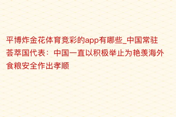 平博炸金花体育竞彩的app有哪些_中国常驻荟萃国代表：中国一直以积极举止为艳羡海外食粮安全作出孝顺