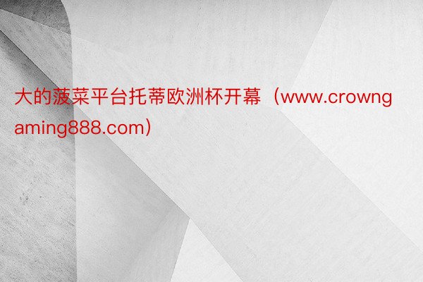 大的菠菜平台托蒂欧洲杯开幕(www.crowngaming888.com)